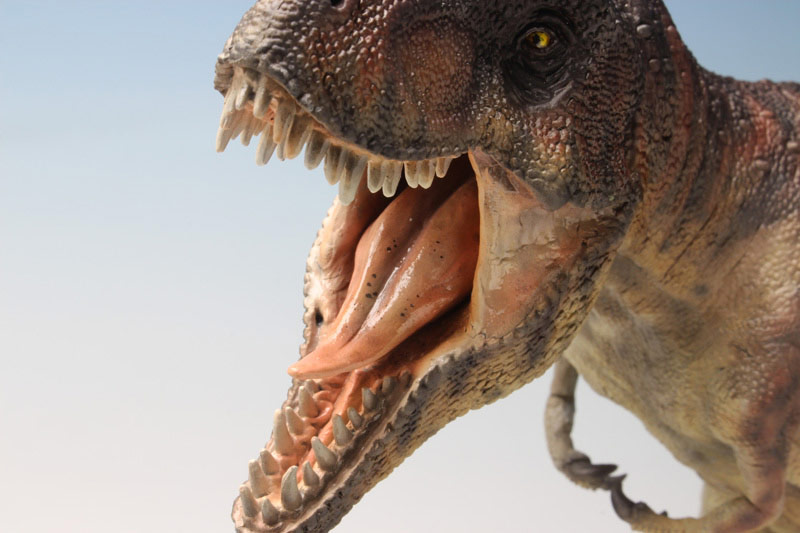 ペガサス 1/24 ティラノサウルスREX : プラモデル・模型メーカー【有限 