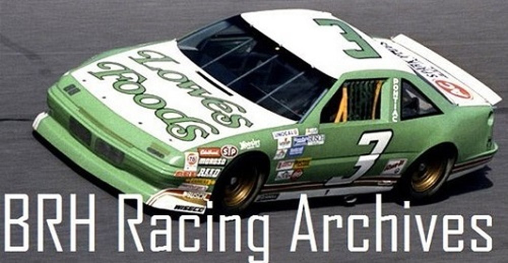 ѥ饤ɥǥ 1/25 NASCAR ݥƥå #3/87 ǥ롦ϡ