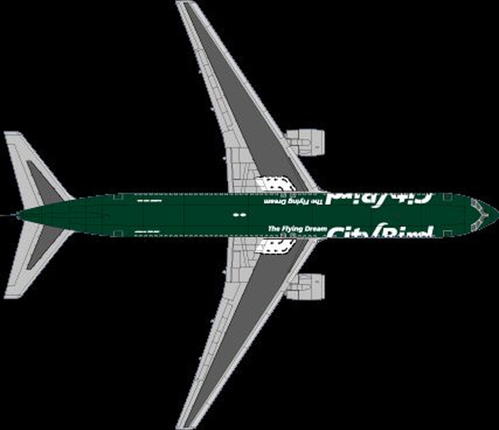  ƥСɹҶ B767 ǥ