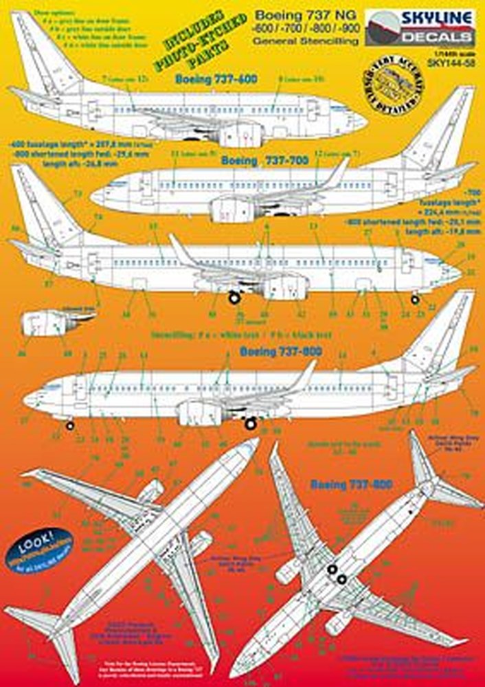  B737NG-600 --> -900 ѥɥ & ƥ󥷥ǥ(å󥰥ѡ°)