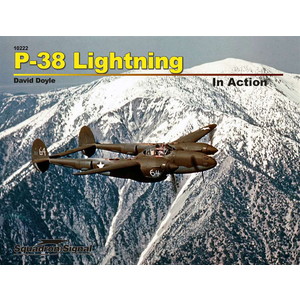 ɥ󡦥ʥ P-38 饤ȥ˥ 󡦥 (եȥС)