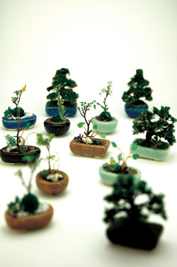 ץå 1/12THE BONSAI