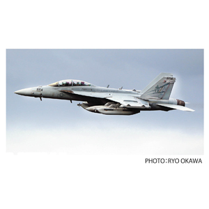 1/48 ꥫ Żﵡ EA-18G 饦顼 VAQ-131 󥵡 2020 ӥ