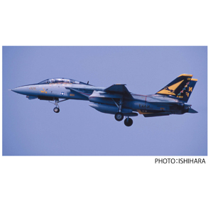 1/48 ꥫ F-14A ȥ७å VF-21 ե꡼󥵡 ڴ