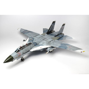 PLATZ/ITALERI 1/48 F-14A TOMCAT "TOP GUN"