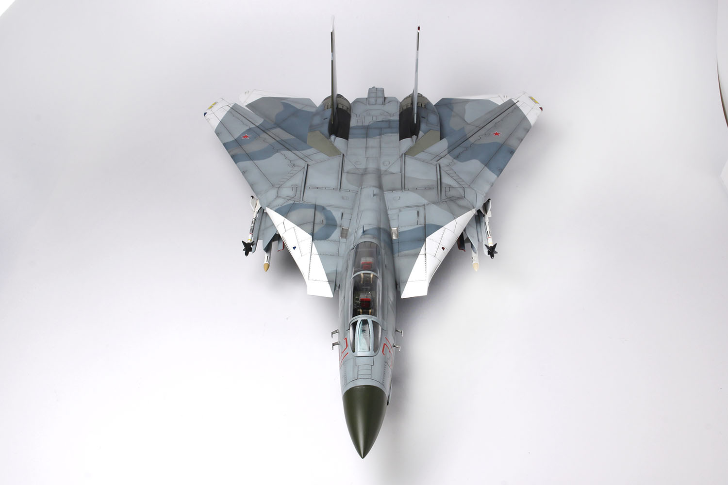 1/48 F-14Aȥ७å ꥫƮʼعɥȥåץ - ɥĤ